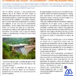 rebalse-del-dique-953×1024